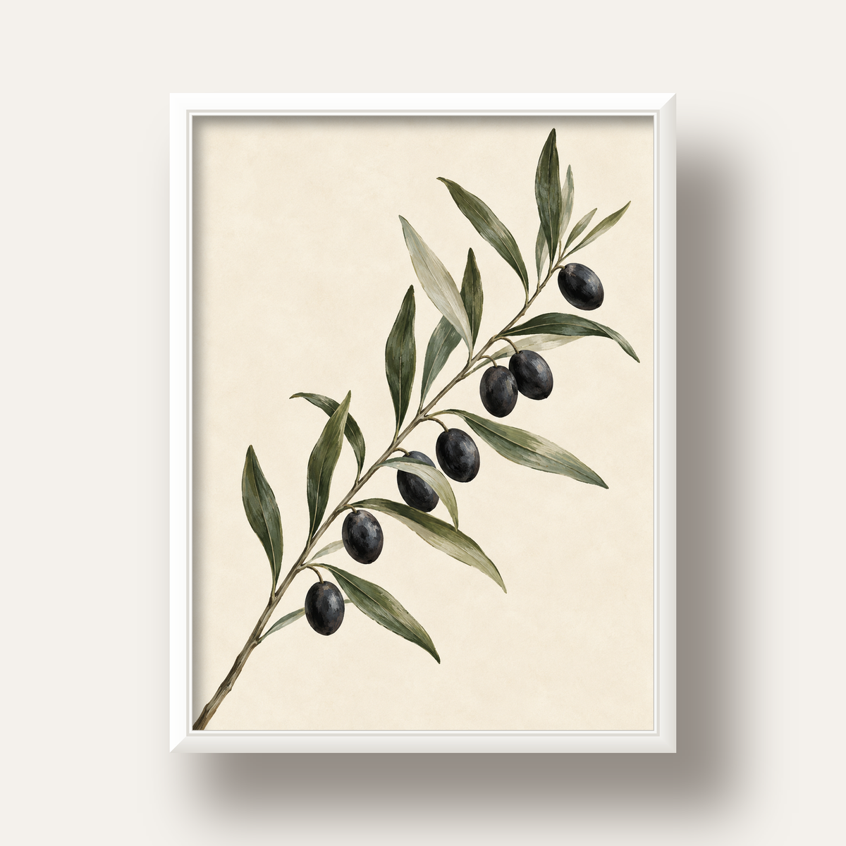 Akdeniz Zeytin Dalı Sade Botanik Poster — beyaz derin çerçeveli