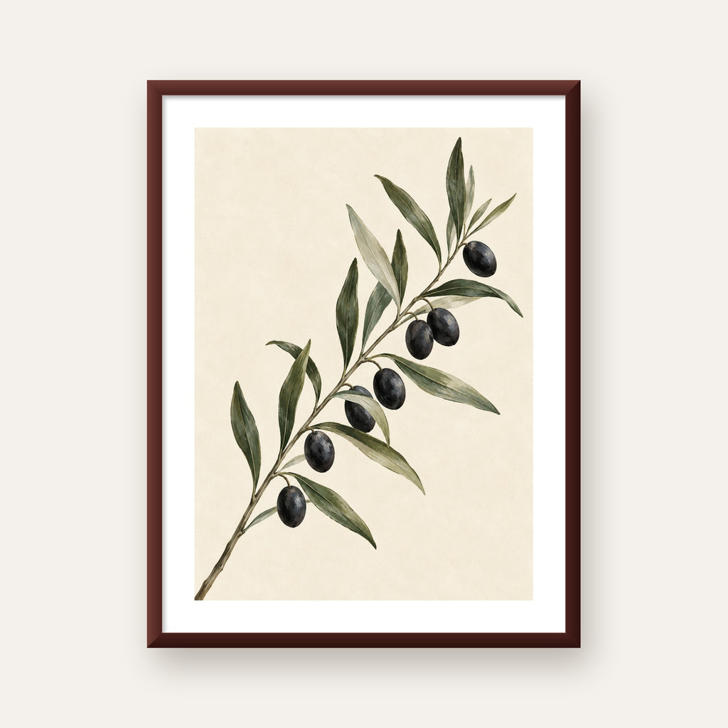 Akdeniz Zeytin Dalı Sade Botanik Poster — ceviz çerçeveli paspartulu