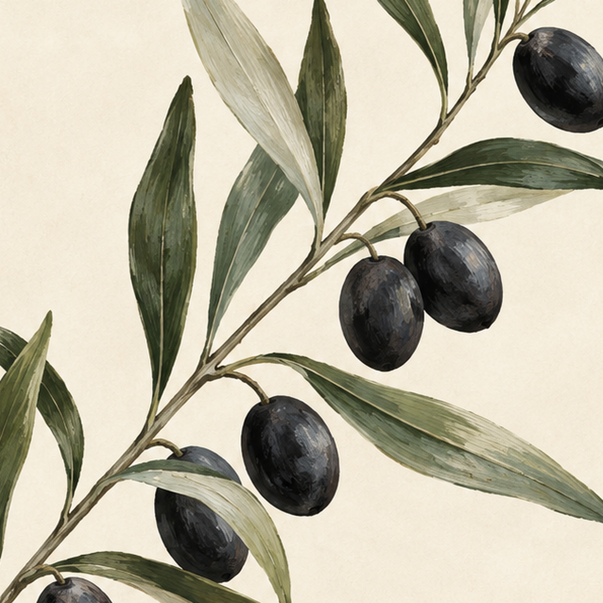 Sulu Boya Zeytin Dalı İllüstrasyon Sanat Posteri — baskının yakın çekimi, kâğıt dokusu ve renk detayı