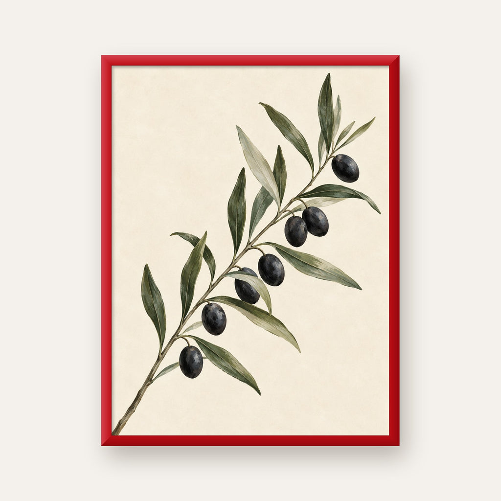 Akdeniz Zeytin Dalı Sade Botanik Poster — kırmızı çerçeveli