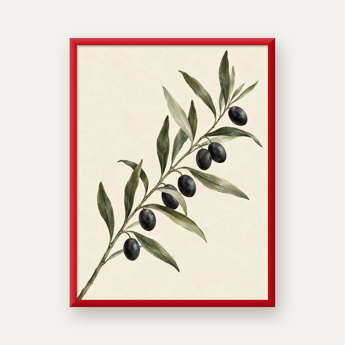 Akdeniz Zeytin Dalı Sade Botanik Poster — kırmızı çerçeveli