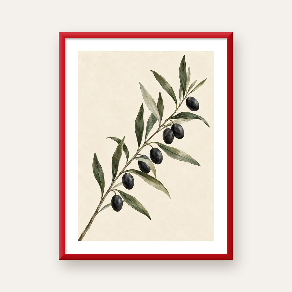 Akdeniz Zeytin Dalı Sade Botanik Poster — kırmızı çerçeveli paspartulu