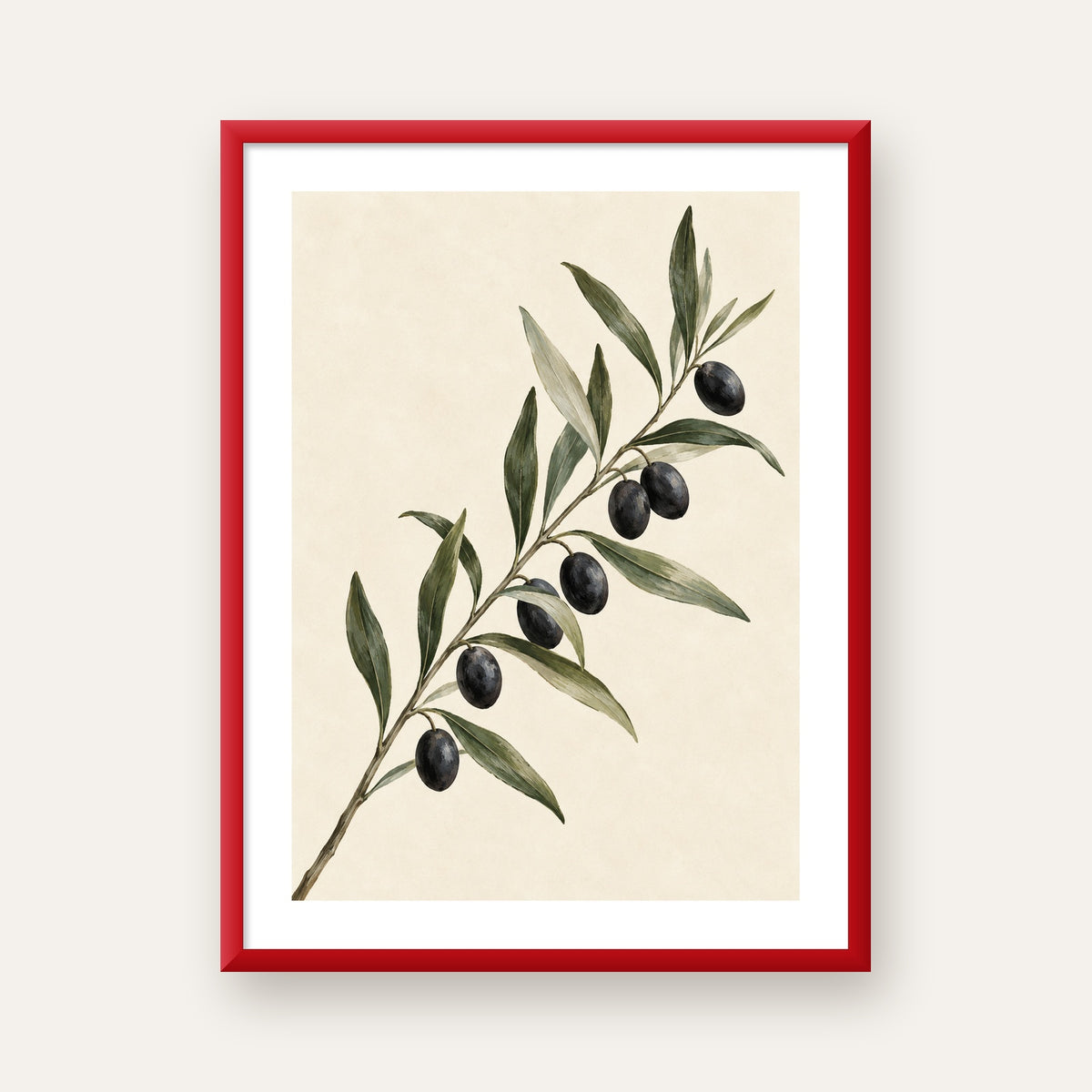 Akdeniz Zeytin Dalı Sade Botanik Poster — kırmızı çerçeveli paspartulu