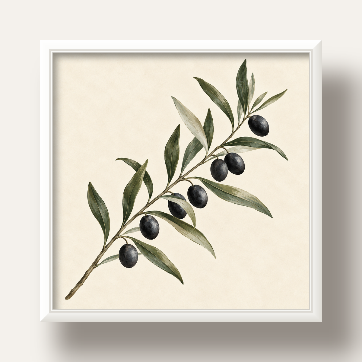 Akdeniz Zeytin Dalı Sade Botanik Poster — beyaz derin çerçeveli