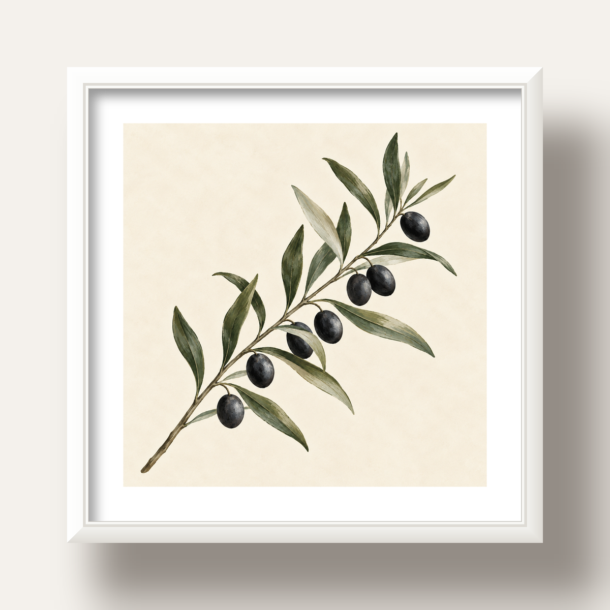 Akdeniz Zeytin Dalı Sade Botanik Poster — beyaz derin çerçeveli paspartulu
