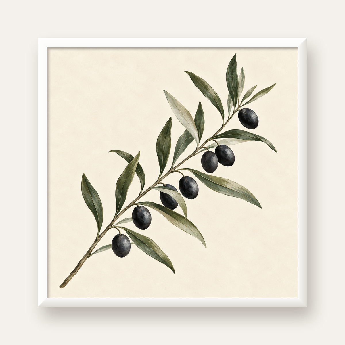 Akdeniz Zeytin Dalı Sade Botanik Poster — beyaz çerçeveli kare poster