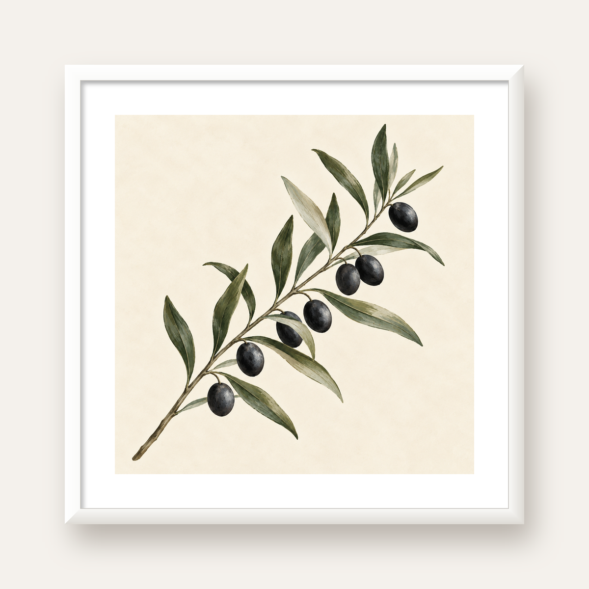 Akdeniz Zeytin Dalı Sade Botanik Poster — beyaz çerçeveli kare poster