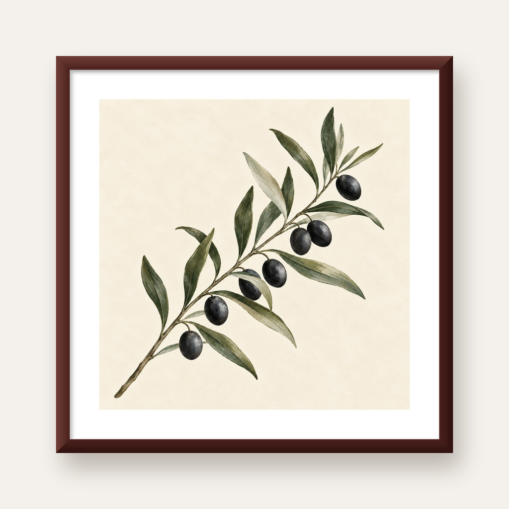 Akdeniz Zeytin Dalı Sade Botanik Poster — ceviz çerçeveli paspartulu