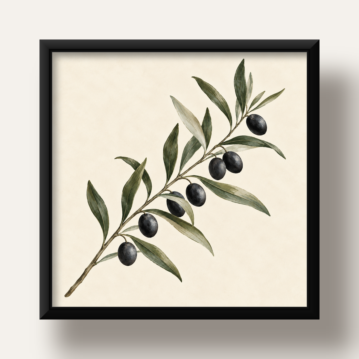 Akdeniz Zeytin Dalı Sade Botanik Poster — siyah derin çerçeveli
