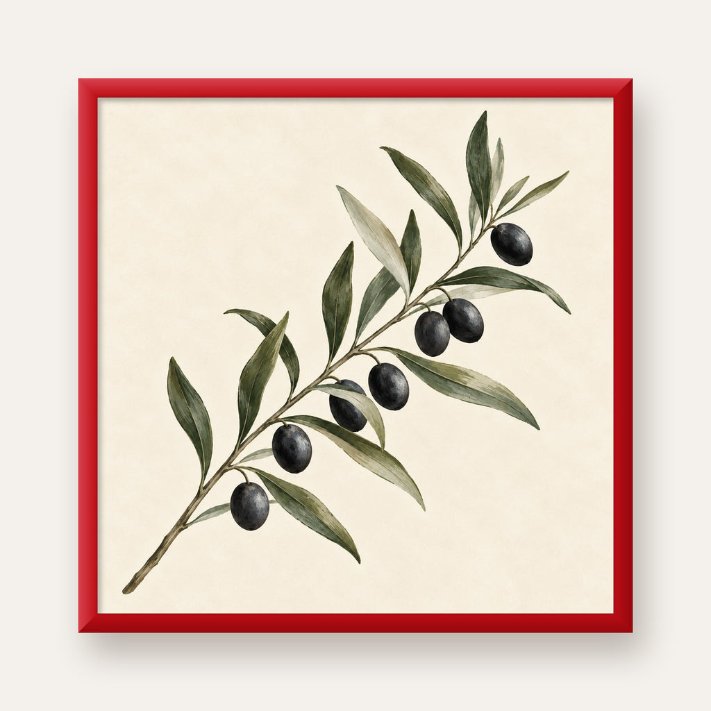 Akdeniz Zeytin Dalı Sade Botanik Poster — kırmızı çerçeveli