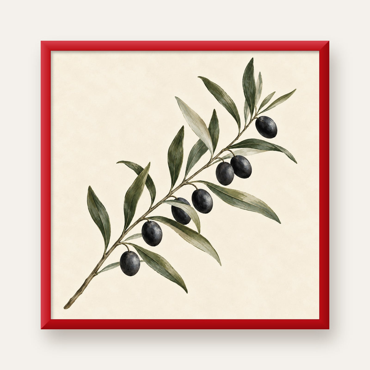 Akdeniz Zeytin Dalı Sade Botanik Poster — kırmızı çerçeveli