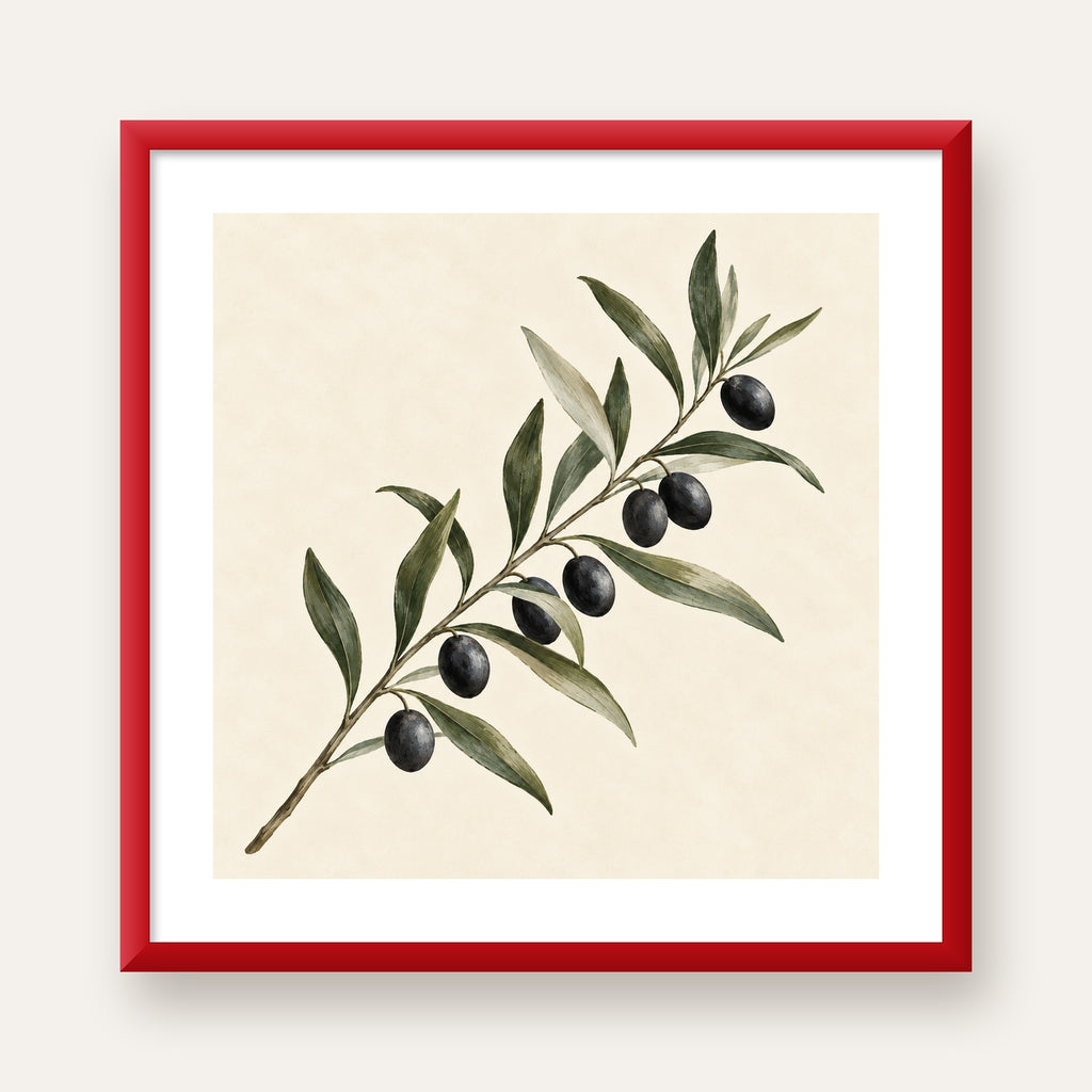Akdeniz Zeytin Dalı Sade Botanik Poster — kırmızı çerçeveli paspartulu