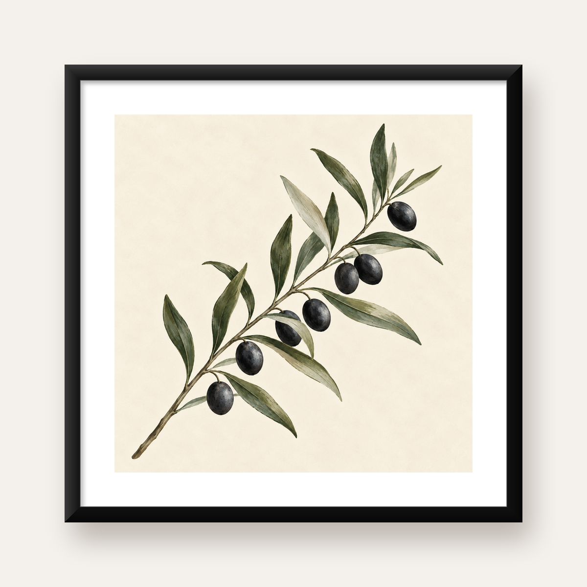Sulu Boya Zeytin Dalı İllüstrasyon Sanat Posteri — Kare baskı, beyaz kenar boşluklu