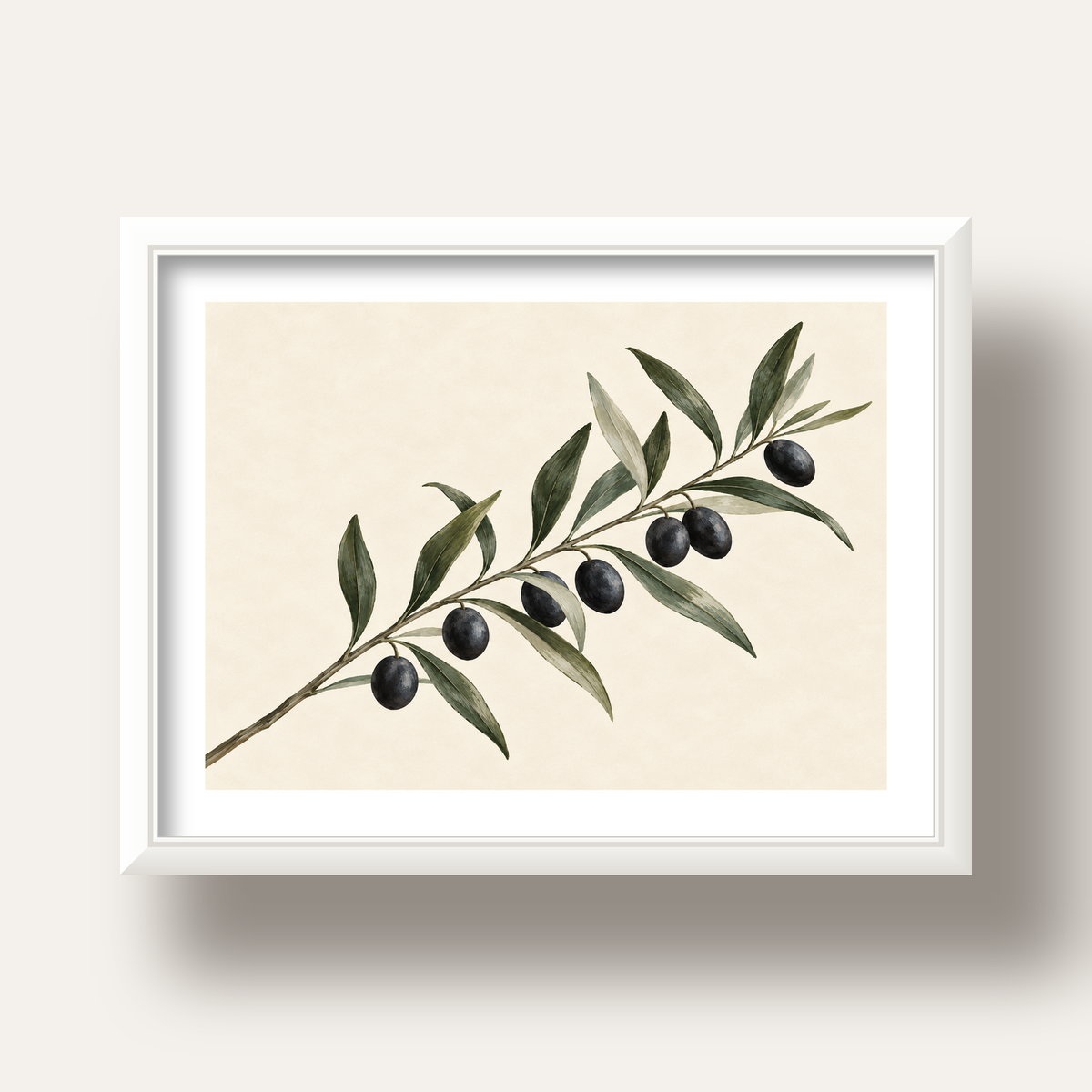 Akdeniz Zeytin Dalı Sade Botanik Poster — beyaz derin çerçeveli paspartulu