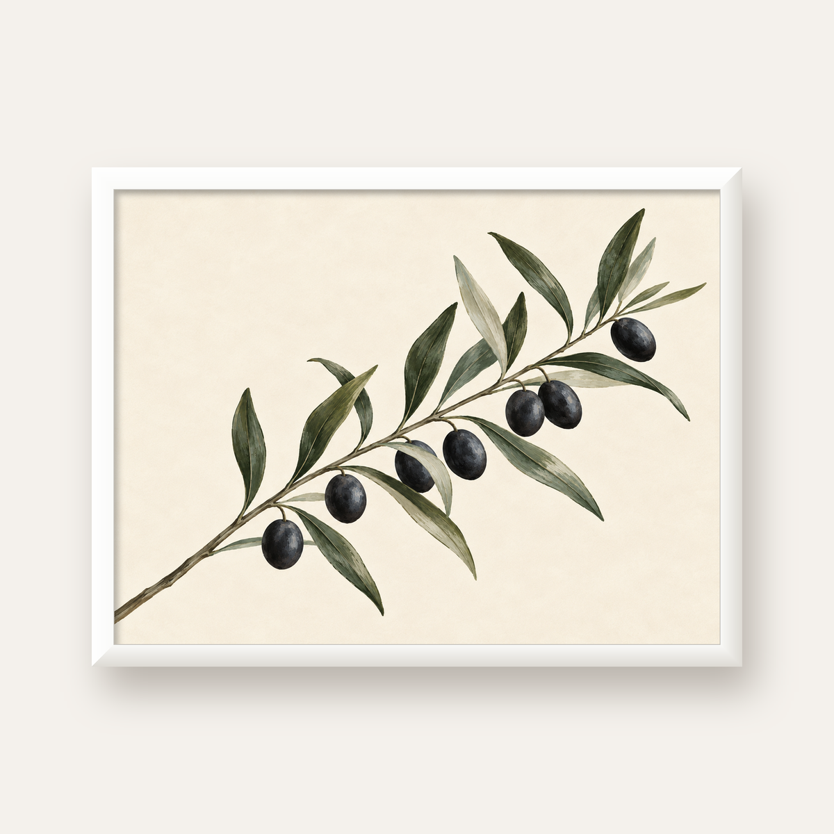 Akdeniz Zeytin Dalı Sade Botanik Poster — beyaz çerçeveli yatay poster