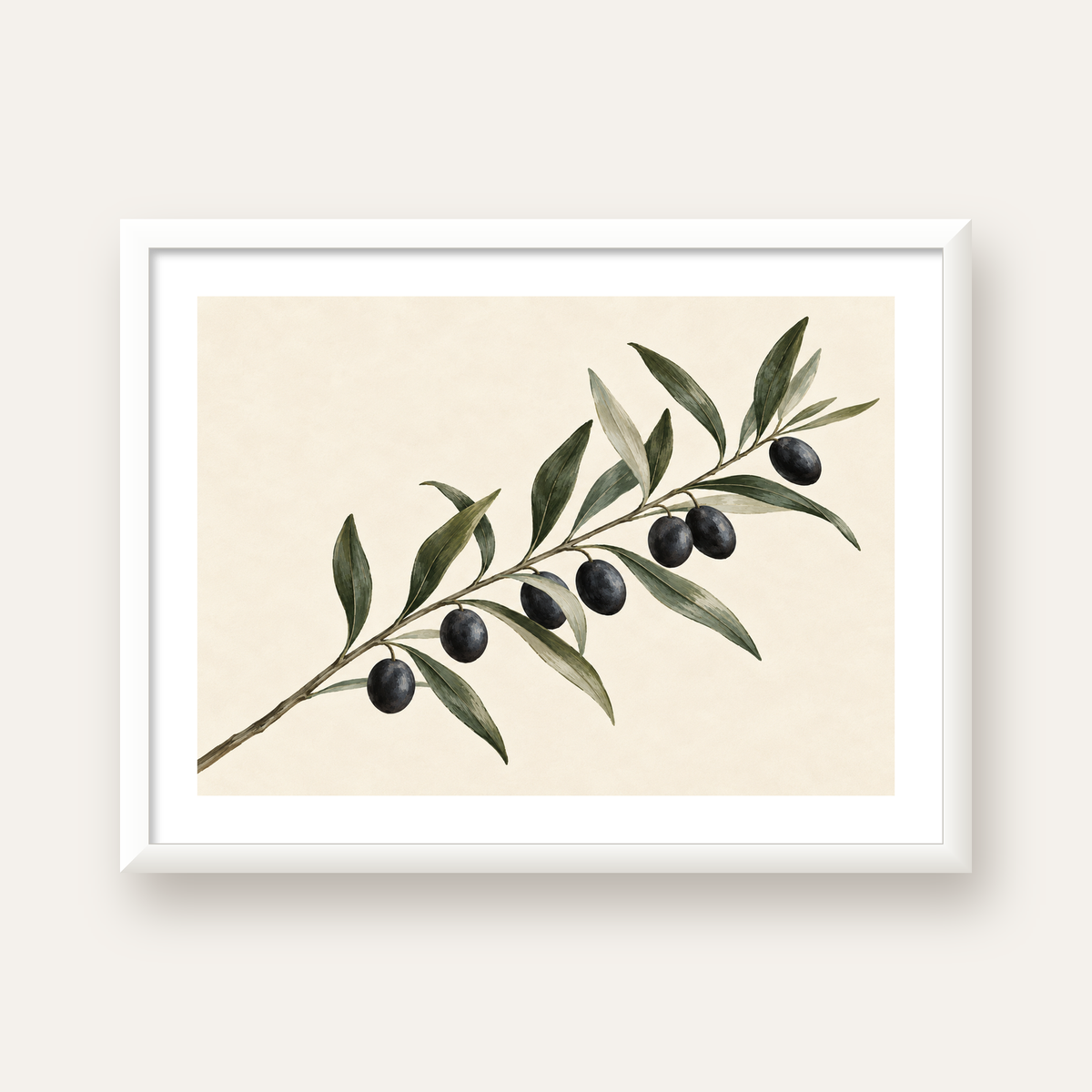 Akdeniz Zeytin Dalı Sade Botanik Poster — beyaz çerçeveli yatay poster