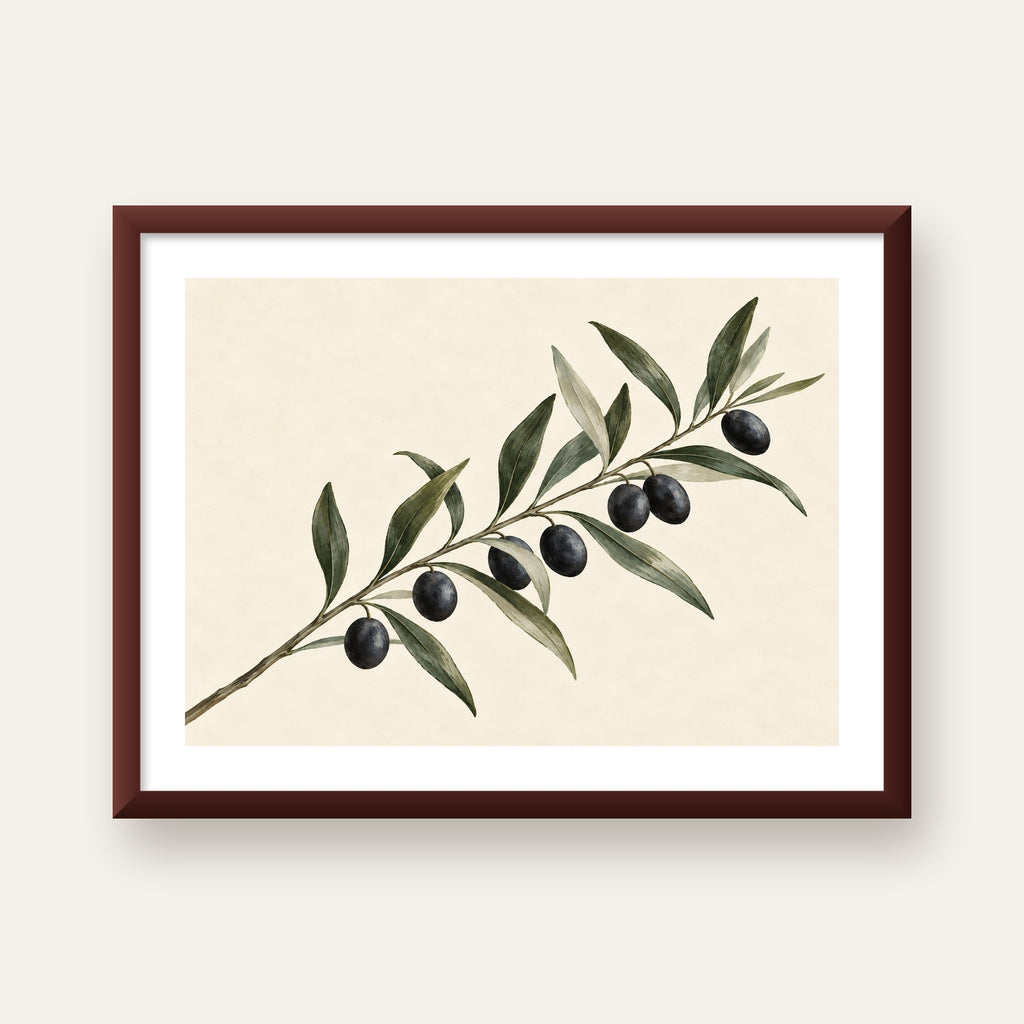 Akdeniz Zeytin Dalı Sade Botanik Poster — ceviz çerçeveli paspartulu