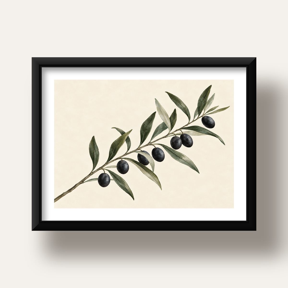 Akdeniz Zeytin Dalı Sade Botanik Poster — siyah derin çerçeveli paspartulu