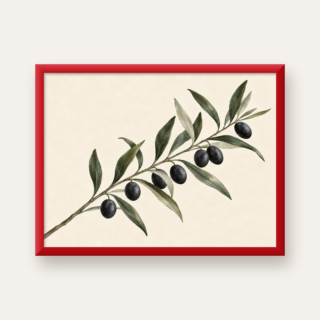 Akdeniz Zeytin Dalı Sade Botanik Poster — kırmızı çerçeveli