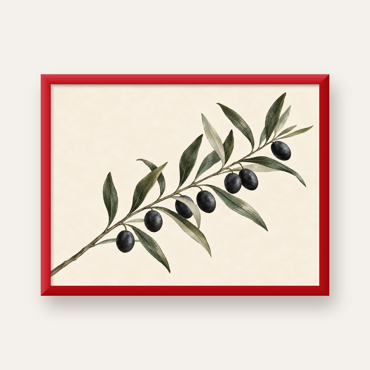 Akdeniz Zeytin Dalı Sade Botanik Poster — kırmızı çerçeveli