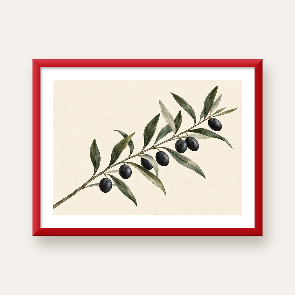 Akdeniz Zeytin Dalı Sade Botanik Poster — kırmızı çerçeveli paspartulu