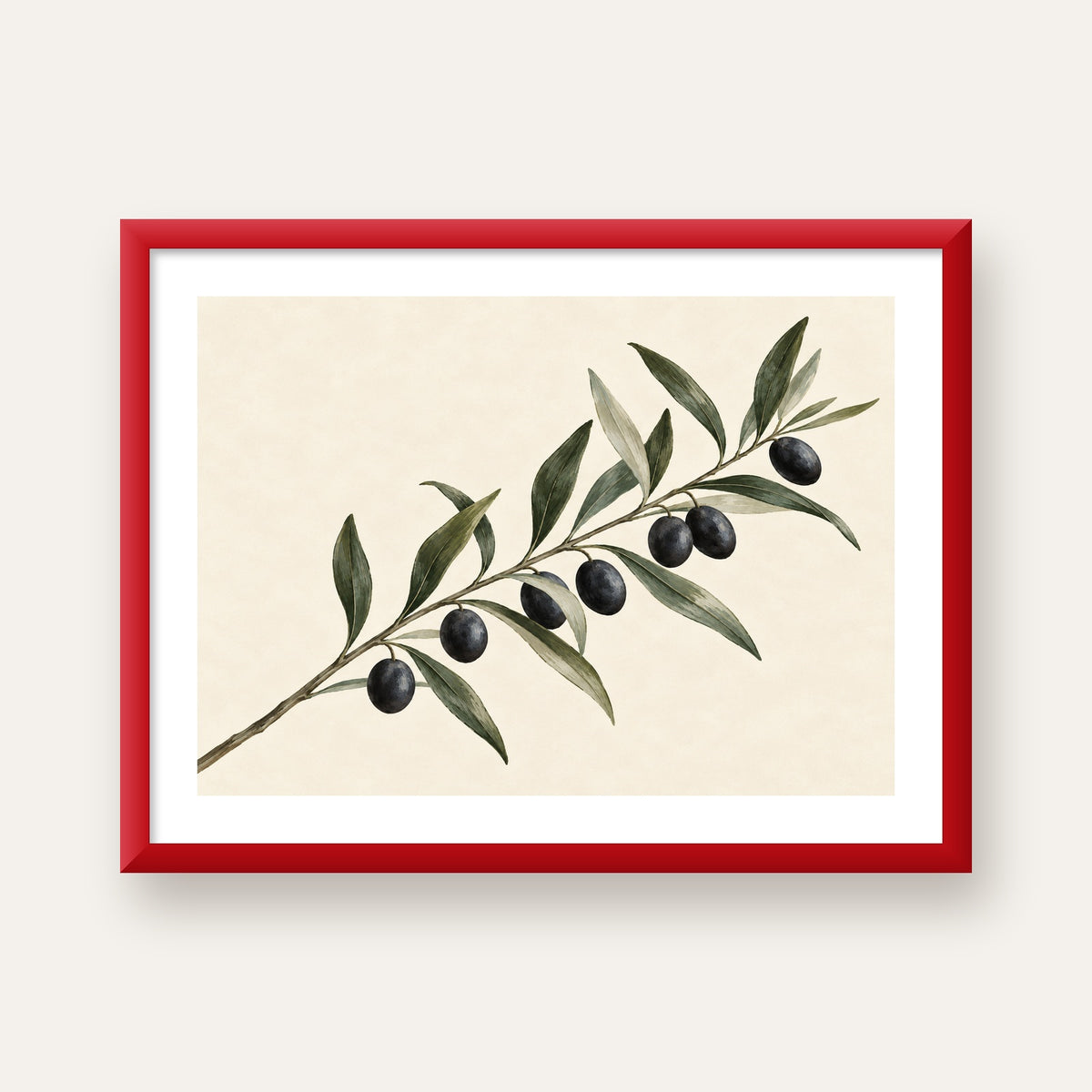 Akdeniz Zeytin Dalı Sade Botanik Poster — kırmızı çerçeveli paspartulu