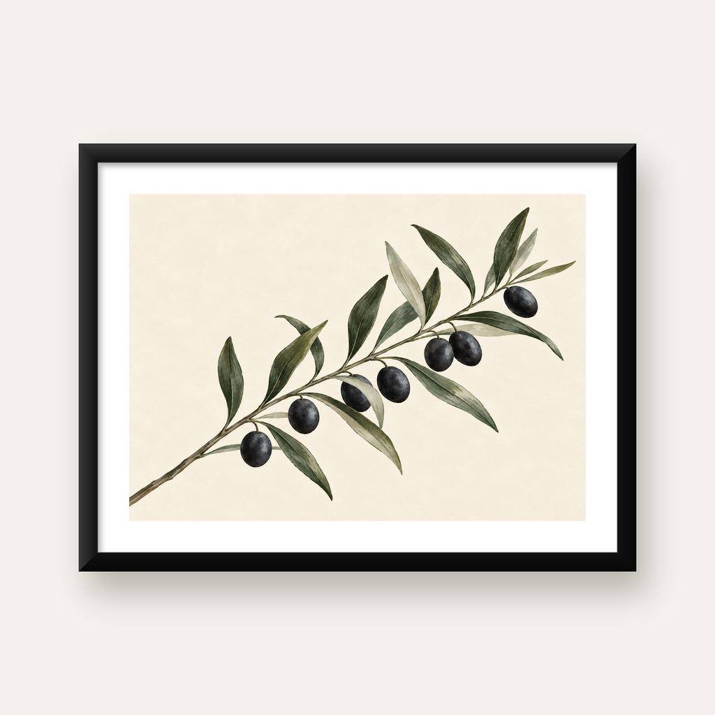 Sulu Boya Zeytin Dalı İllüstrasyon Sanat Posteri — Yatay baskı, beyaz kenar boşluklu