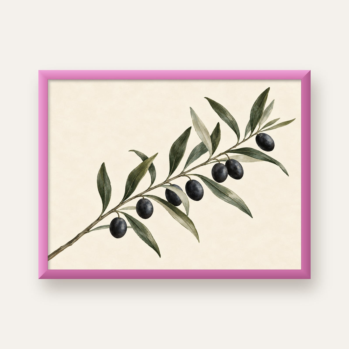 Akdeniz Zeytin Dalı Sade Botanik Poster — pembe çerçeveli