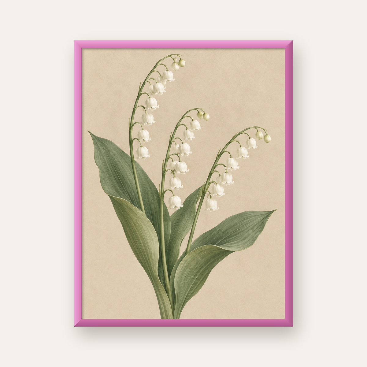 Müge Çiçeği İllüstrasyon Poster – Doğal ve Zarif Sanat Baskısı — pembe çerçeveli