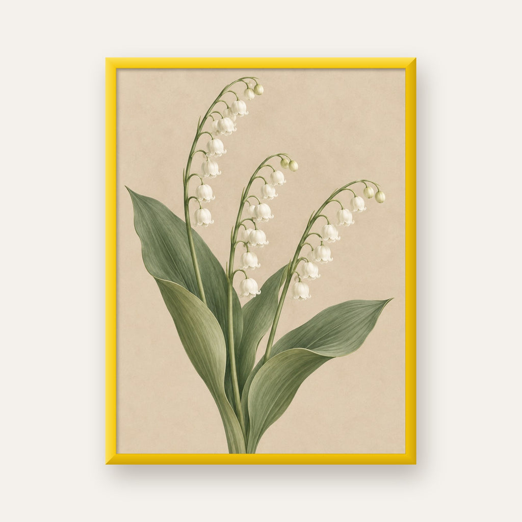 Müge Çiçeği İllüstrasyon Poster – Doğal ve Zarif Sanat Baskısı — sarı çerçeveli