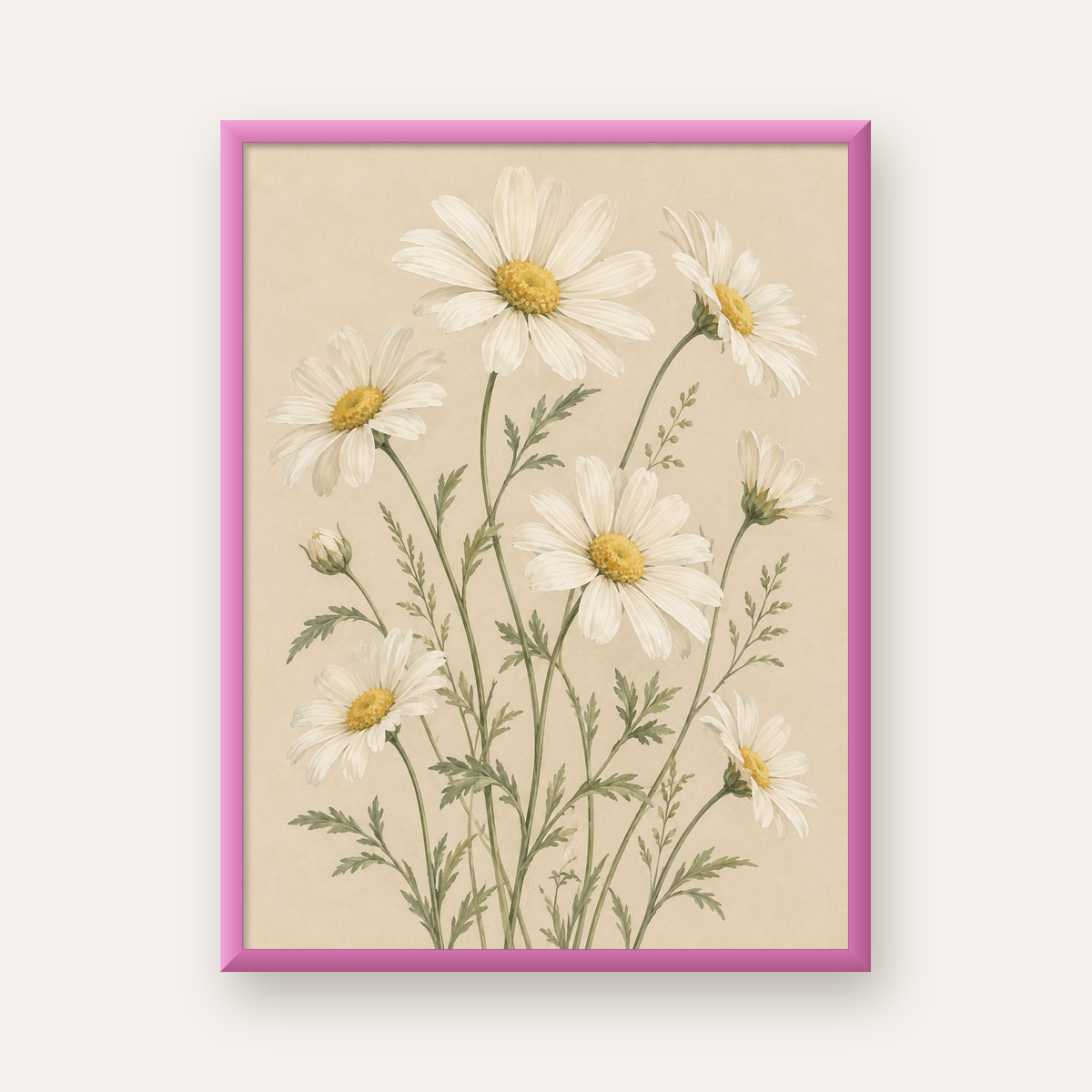 Beyaz Papatya Çiçeği Sulu Boya İllüstrasyon Poster — pembe çerçeveli