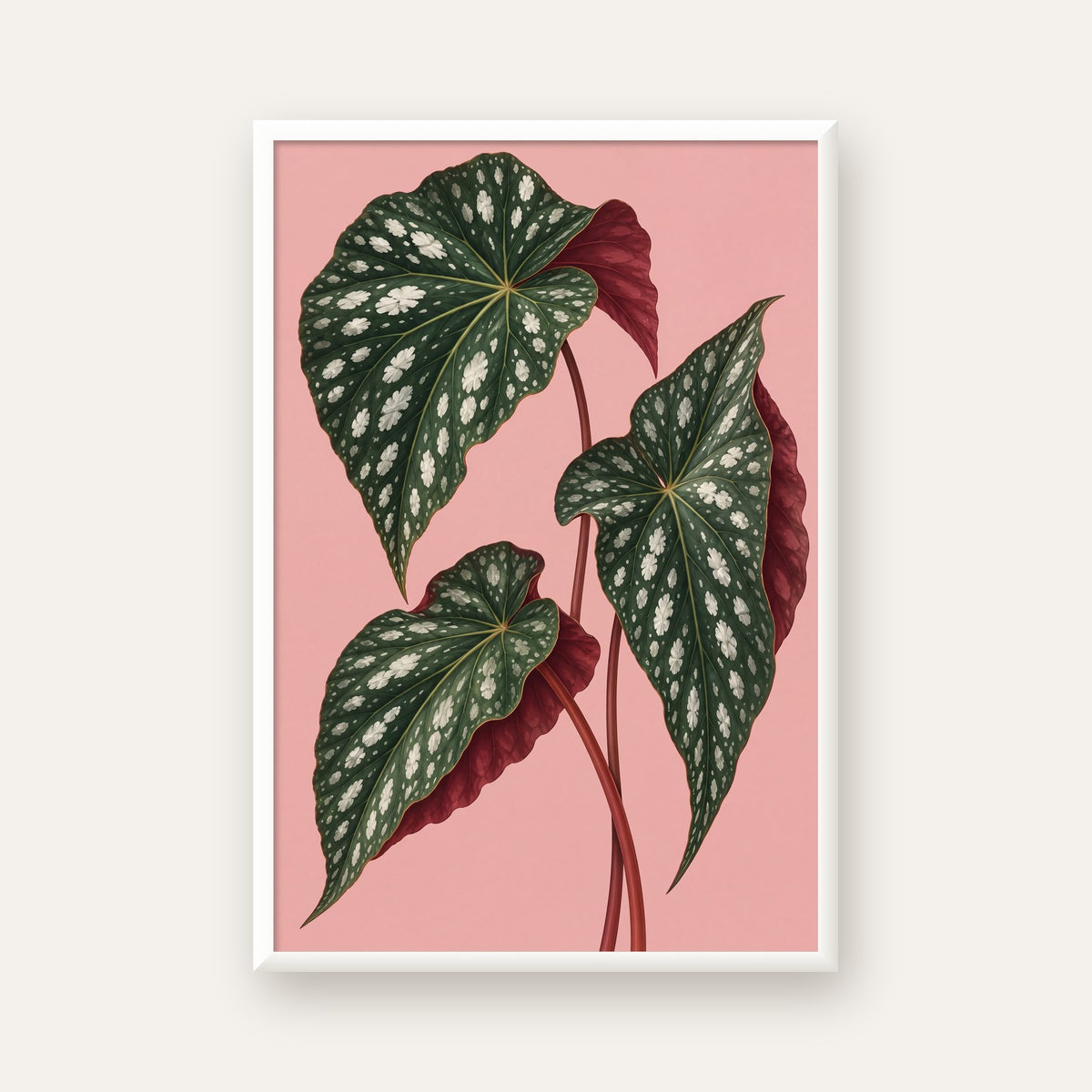 Benekli Begonia Yaprakları Botanik Poster – Pembe Fonlu — beyaz çerçeveli dikey poster