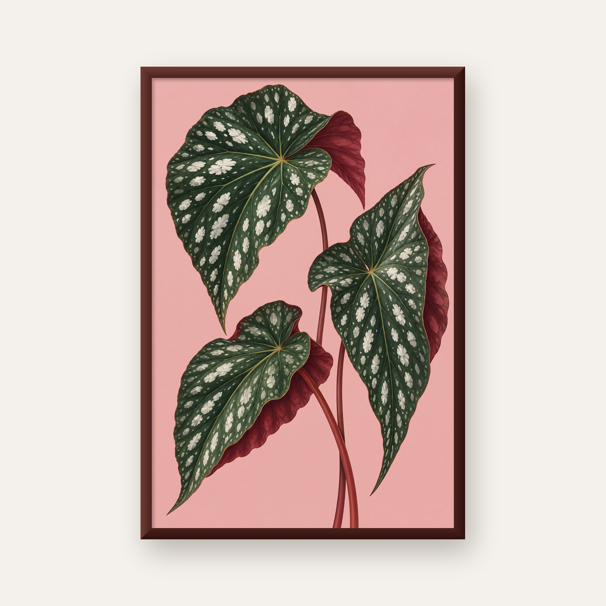 Benekli Begonia Yaprakları Botanik Poster – Pembe Fonlu — ceviz çerçeveli