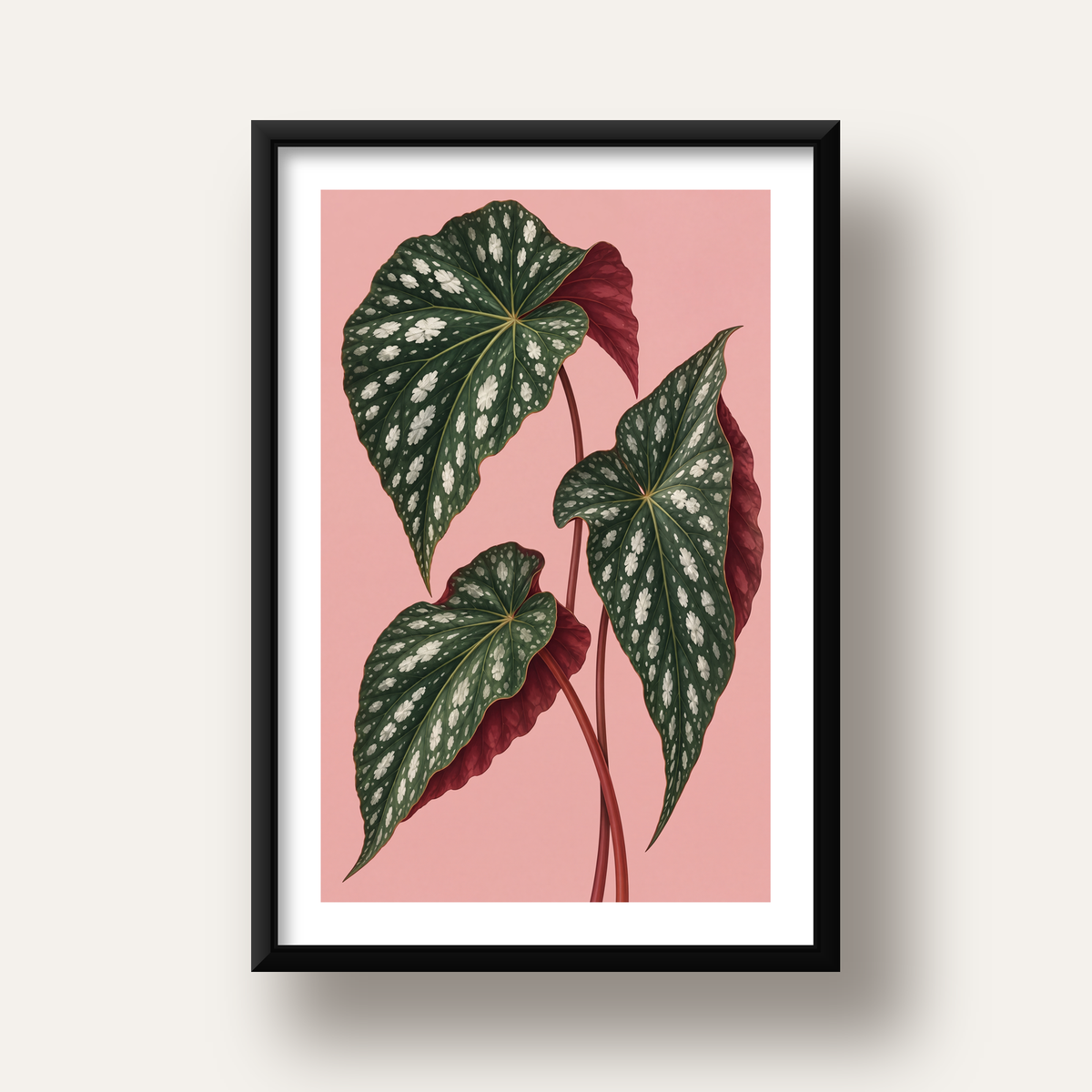 Benekli Begonia Yaprakları Botanik Poster – Pembe Fonlu — siyah derin çerçeveli paspartulu
