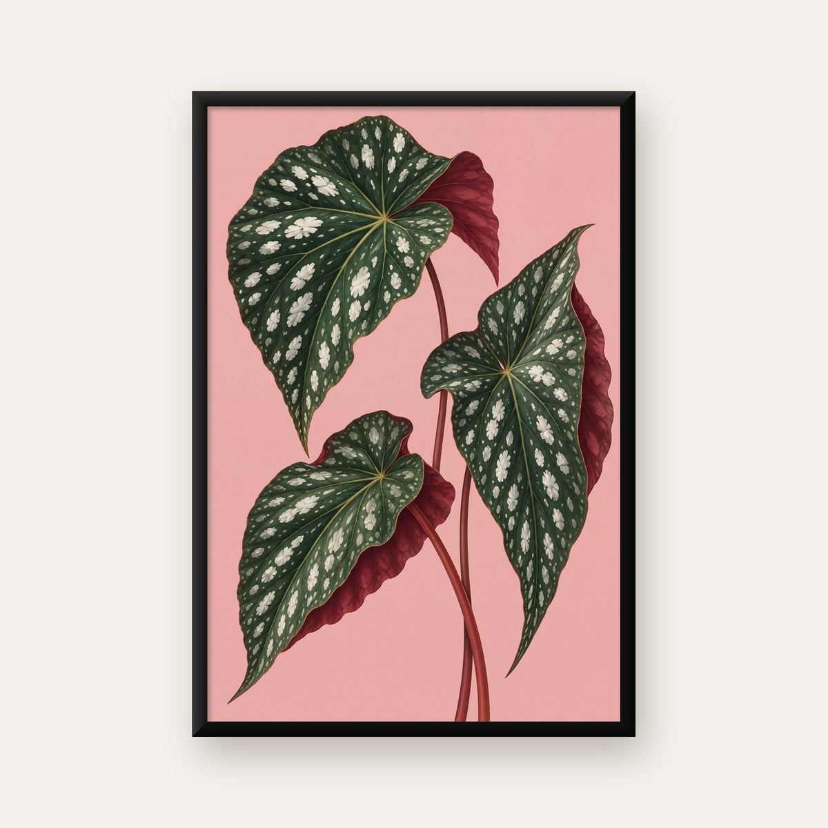 Benekli Begonia Yaprakları Botanik Poster – Pembe Fonlu — ceviz çerçeveli