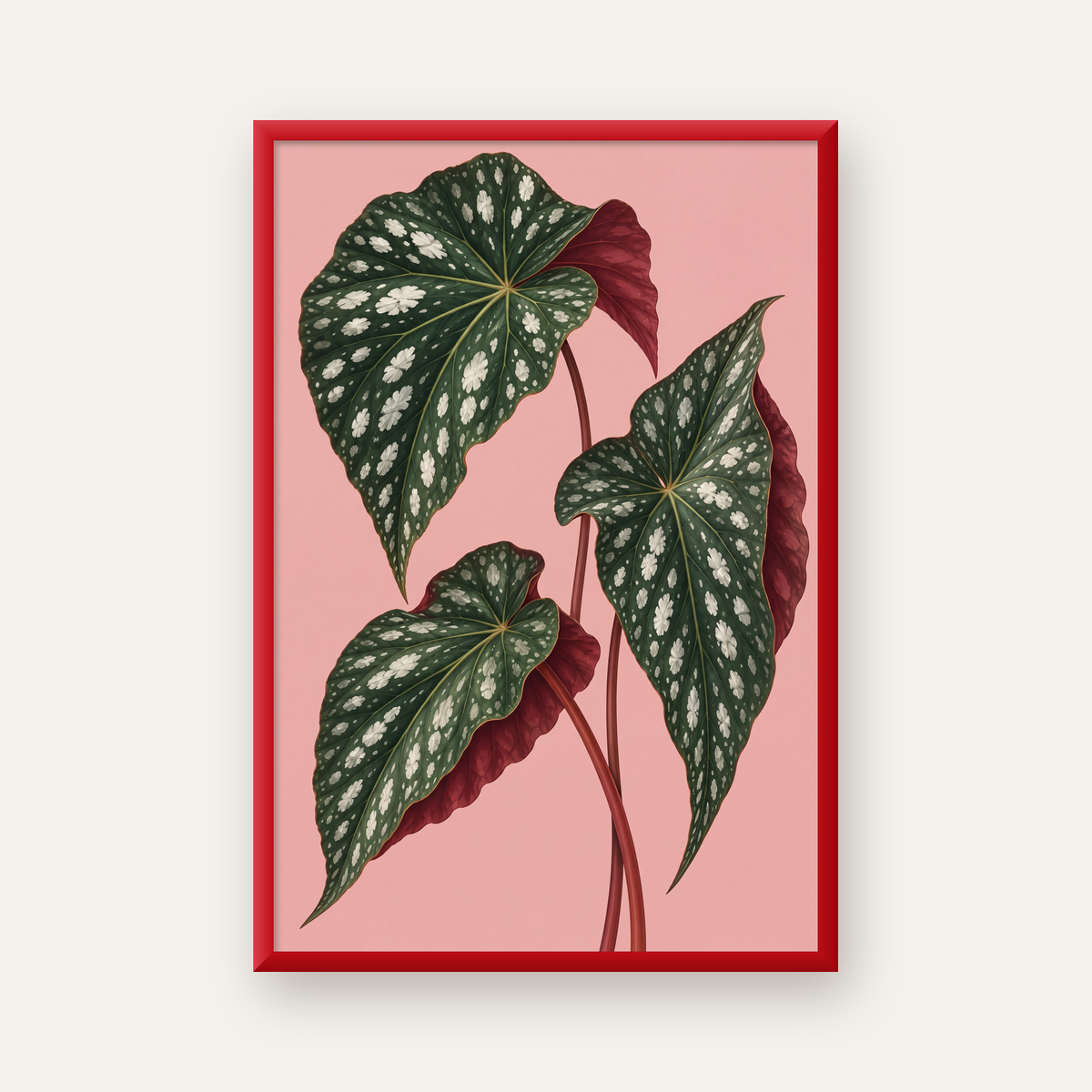 Benekli Begonia Yaprakları Botanik Poster – Pembe Fonlu — kırmızı çerçeveli
