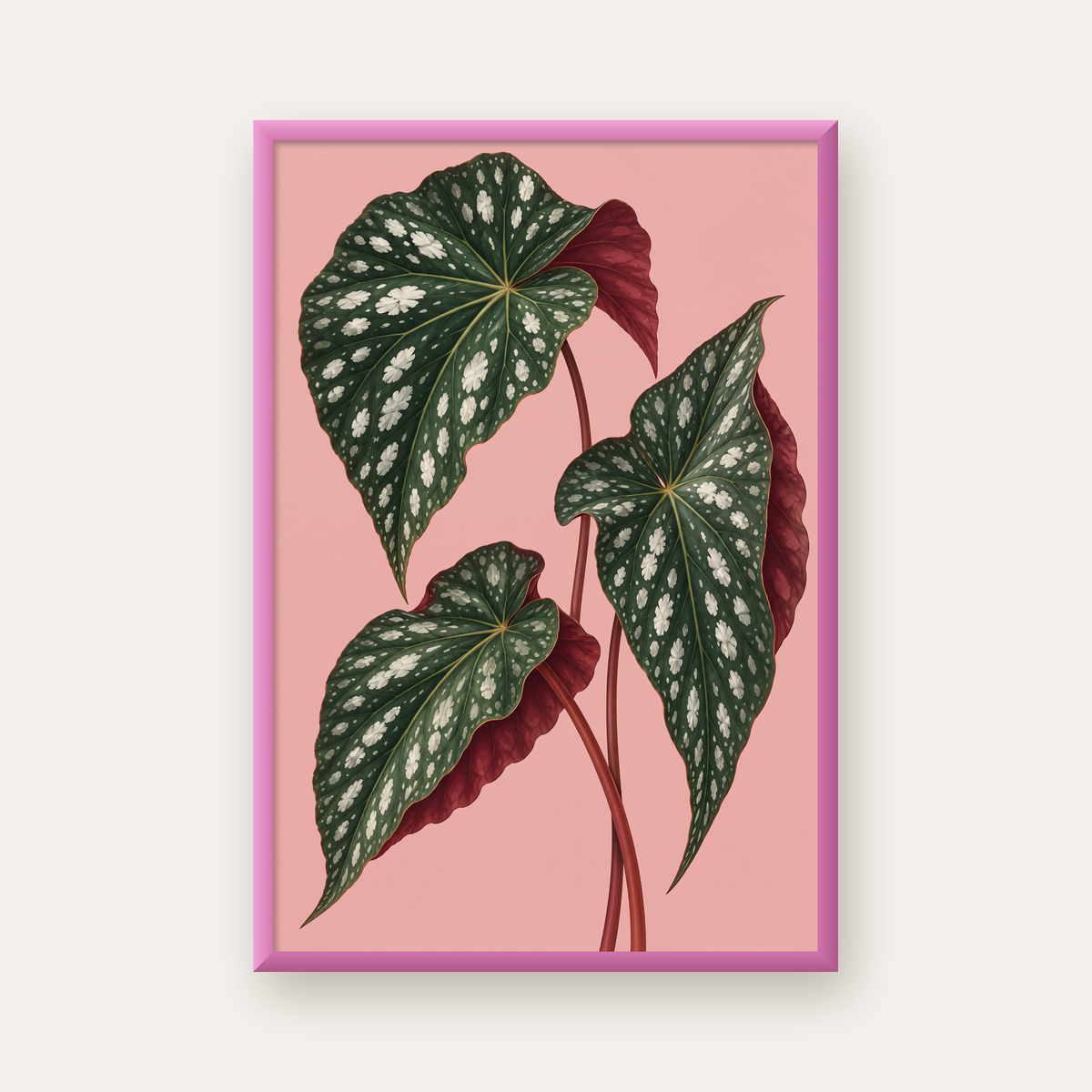 Benekli Begonia Yaprakları Botanik Poster – Pembe Fonlu — pembe çerçeveli