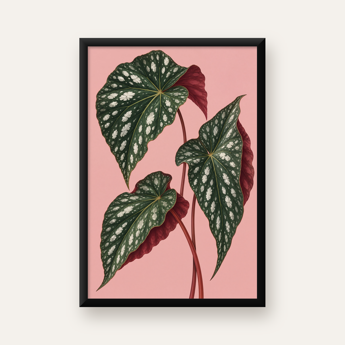 Benekli Begonia Yaprakları Botanik Poster – Pembe Fonlu — düz siyah çerçeveli duvar posteri