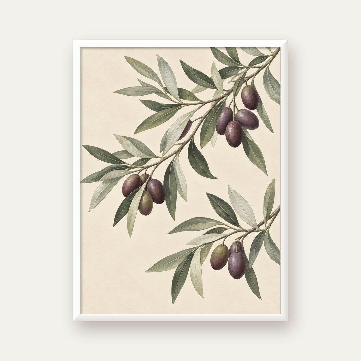 Zeytin Dalı İllüstrasyonu Poster – Natürel Renkte Duvar Sanatı — beyaz çerçeveli dikey poster