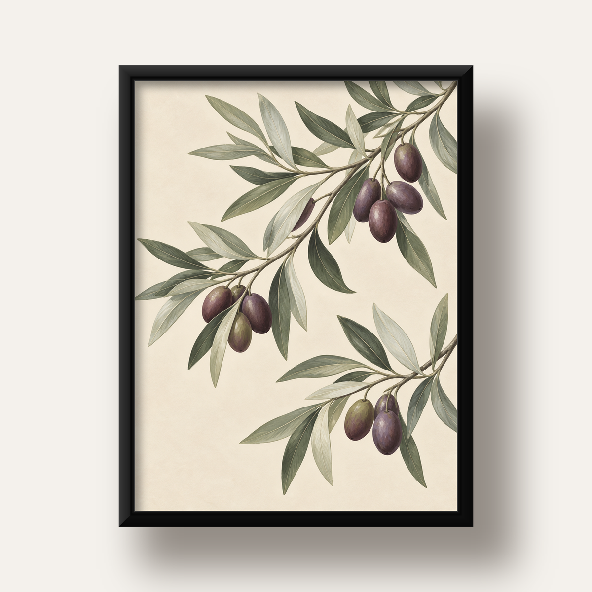 Zeytin Dalı İllüstrasyonu Poster – Natürel Renkte Duvar Sanatı — siyah derin çerçeveli