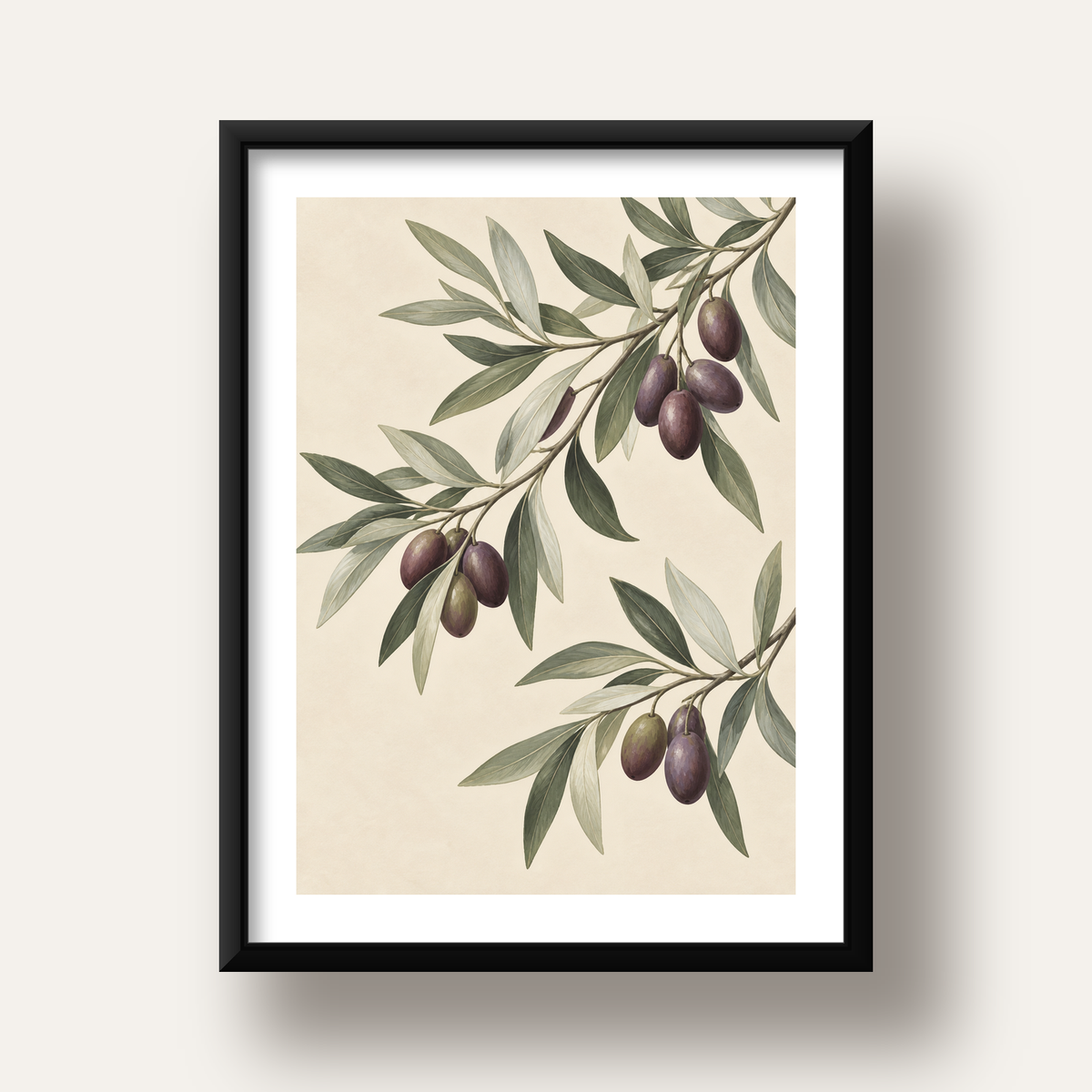 Zeytin Dalı İllüstrasyonu Poster – Natürel Renkte Duvar Sanatı — siyah derin çerçeveli paspartulu