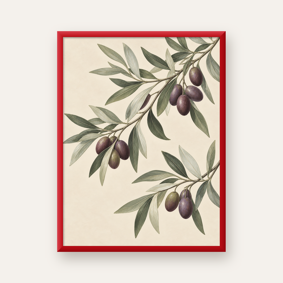 Zeytin Dalı İllüstrasyonu Poster – Natürel Renkte Duvar Sanatı — kırmızı çerçeveli