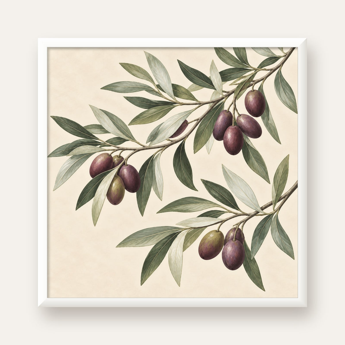 Zeytin Dalı İllüstrasyonu Poster – Natürel Renkte Duvar Sanatı — beyaz çerçeveli kare poster
