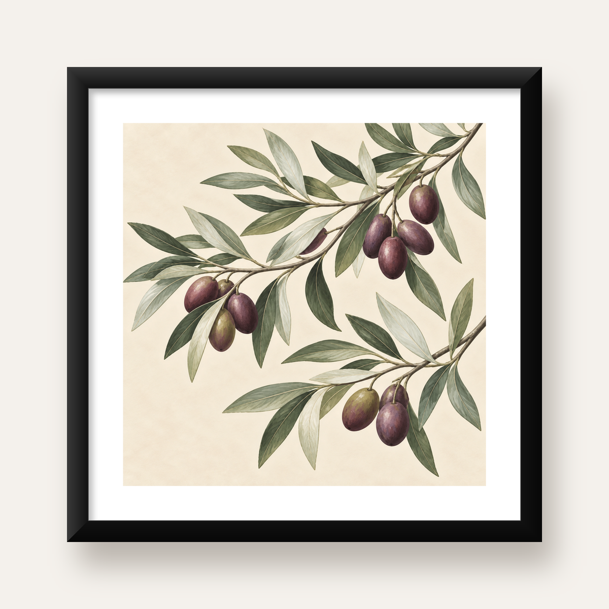 Zeytin Dalı İllüstrasyonu Poster – Natürel Renkte Duvar Sanatı — Kare baskı, beyaz paspartulu
