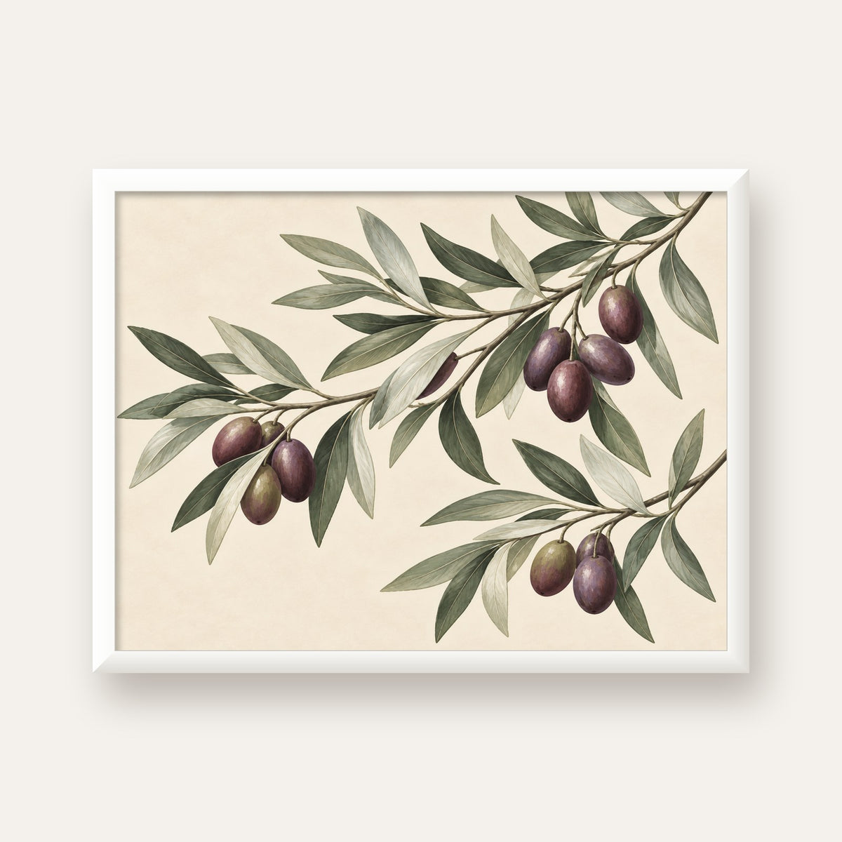 Zeytin Dalı İllüstrasyonu Poster – Natürel Renkte Duvar Sanatı — beyaz çerçeveli yatay poster