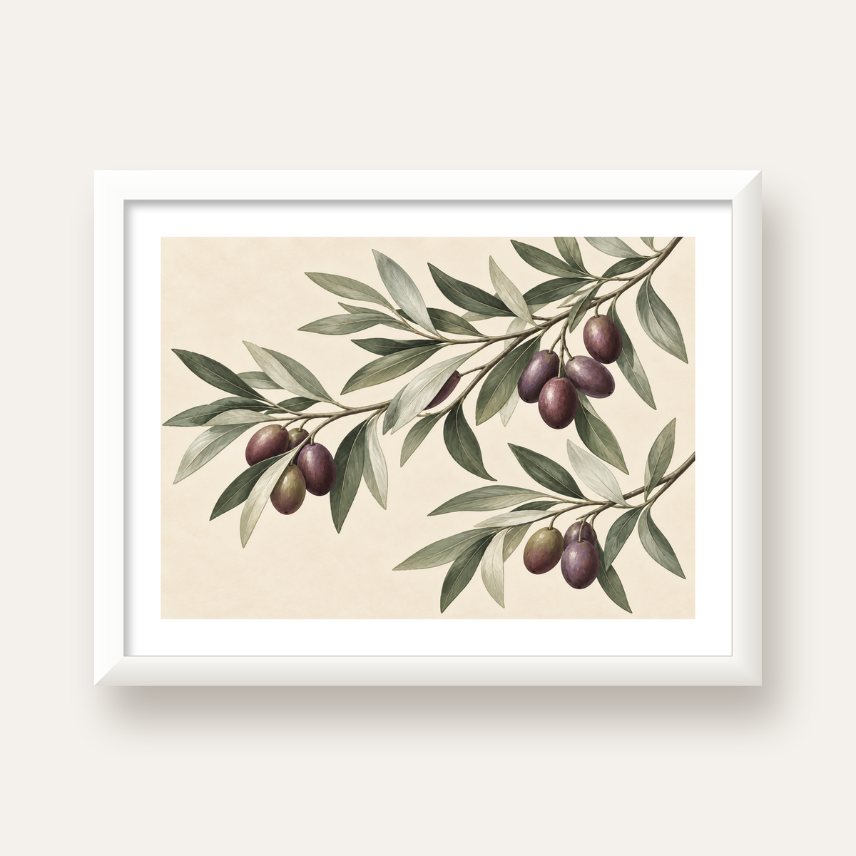 Zeytin Dalı İllüstrasyonu Poster – Natürel Renkte Duvar Sanatı — beyaz çerçeveli yatay poster
