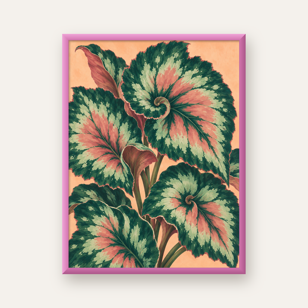 Büyük Yaprak Desenli Spiral Renkli Poster – Bitki İllüstrasyonu — pembe çerçeveli