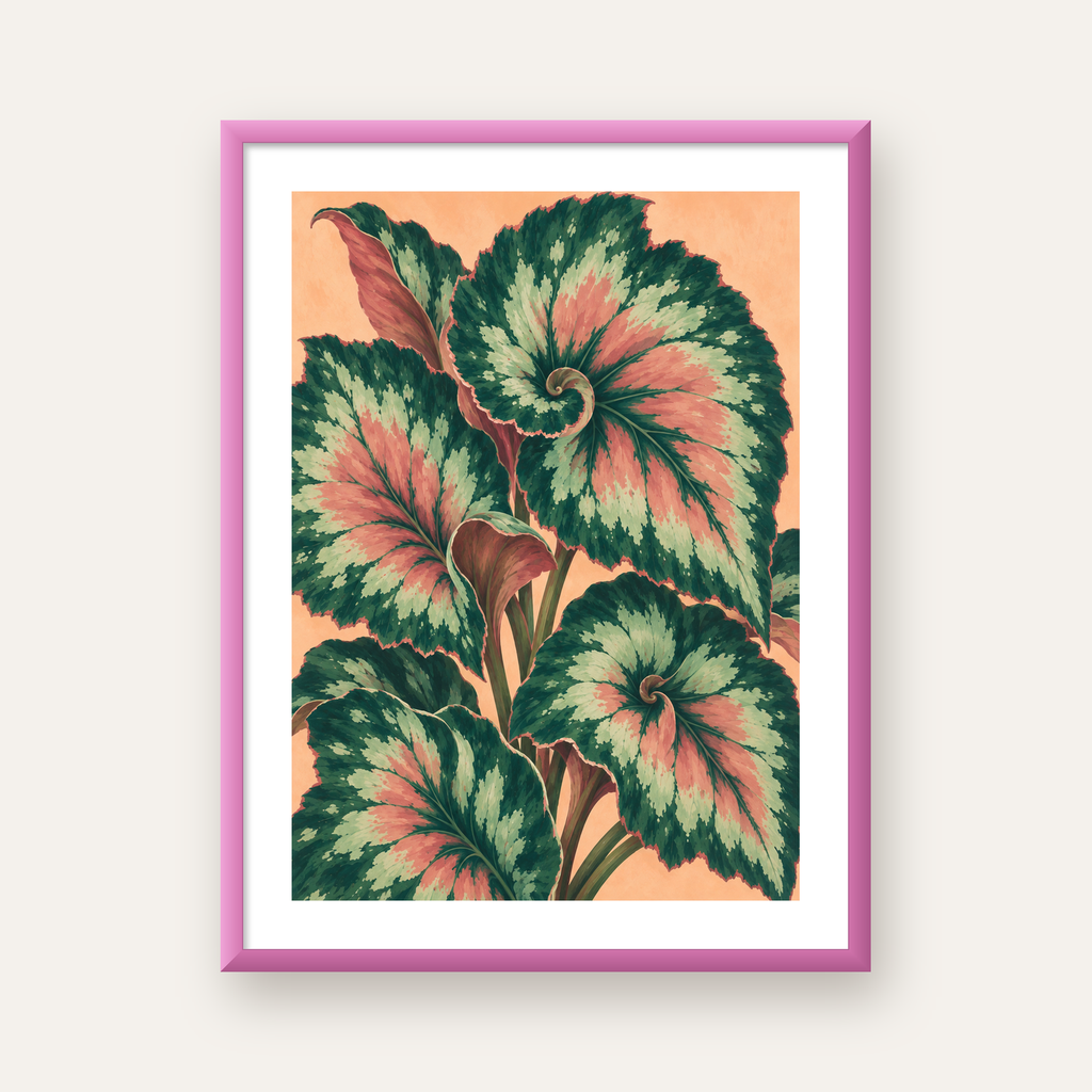Büyük Yaprak Desenli Spiral Renkli Poster – Bitki İllüstrasyonu — pembe çerçeveli paspartulu