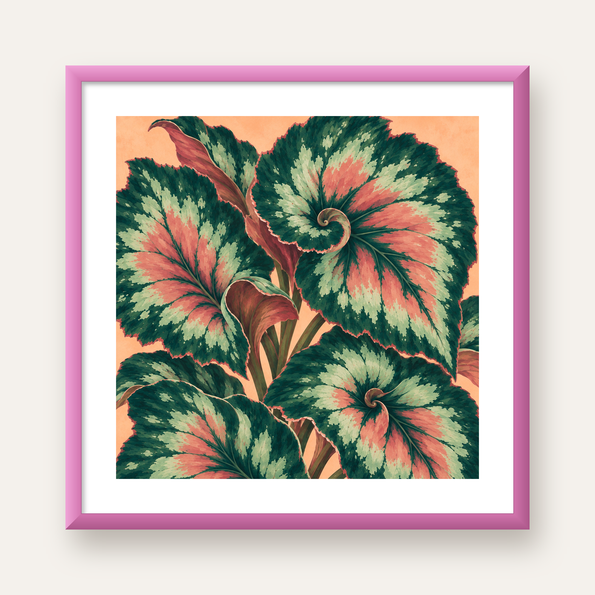Büyük Yaprak Desenli Spiral Renkli Poster – Bitki İllüstrasyonu — pembe çerçeveli paspartulu