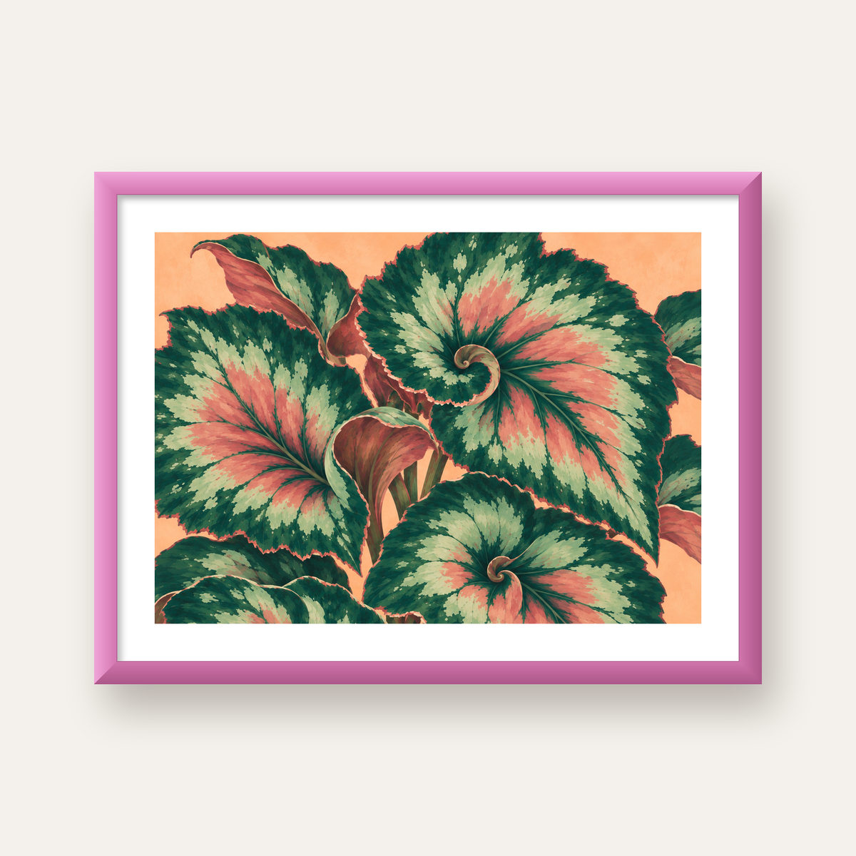 Büyük Yaprak Desenli Spiral Renkli Poster – Bitki İllüstrasyonu — pembe çerçeveli paspartulu